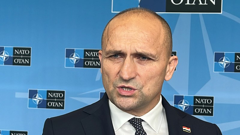 Anušić: Mora se ubrzati pomoć Ukrajini